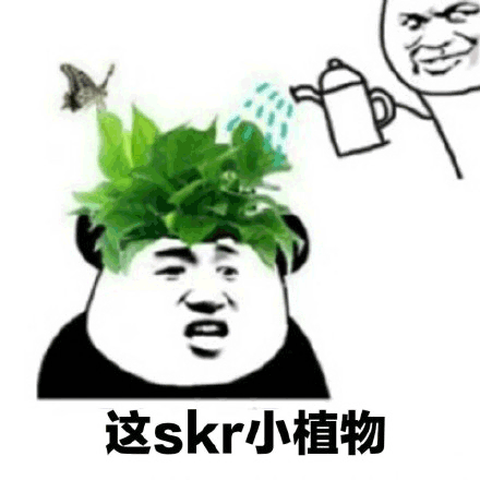 skr 熱skr人