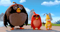 愤怒的小鸟 Angry Birds movie 三脸懵逼 围观 什么鬼 惊呆 无言以对 开心就好 冷漠脸