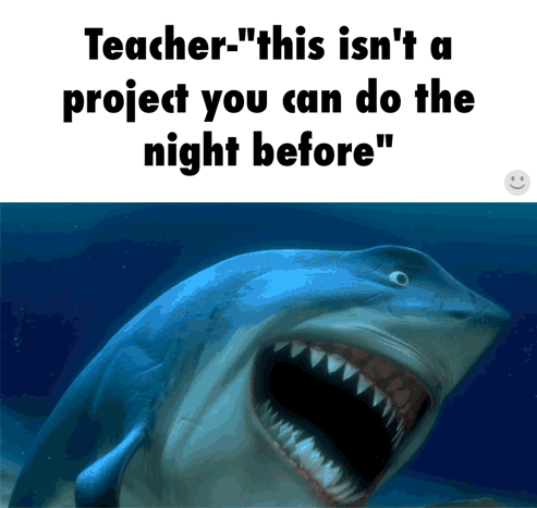 海底 开心 搞笑 鲨鱼