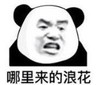 暴漫 文字表情包 哪里来的浪花 搞笑 逗 沙雕