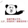 熊猫头 装逼 不离父子兵 爸爸支持你 你说的对  斗图 搞笑 猥琐