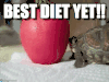 周五 苹果 乌龟 BESTDIETYET