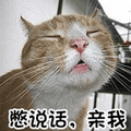 猫咪 别说话 亲我