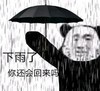 暴漫 熊猫头 下雨了 你还会回来吗 搞怪 逗