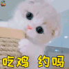 萌宠 猫咪 猫 吃鸡 约吗 soogif soogif出品