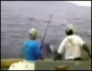 鲨鱼 钓鱼 落水