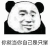 暴漫 文字表情包 你就当自己是只猪 搞笑 逗 沙雕