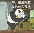 咱们裸熊 Panda 白熊 搞笑 斗图 哼，傻逼网友，发的什么几把