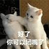 好了 可以 闭嘴 猫