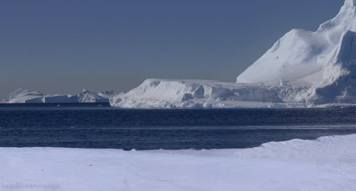 企鹅 跳跃 冰天雪地 南极