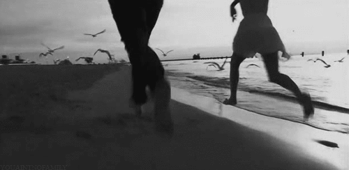 奔跑 海边 沙滩 海鸥