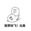 我带你飞 北鼻 转圈圈 斗图