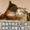 沙雕猫 猫咪 猫 可爱猫 猫表情包 猫咪表情包 小猫