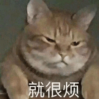 烦 猫 生气