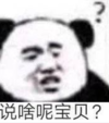 暴漫 文字表情包 说啥呢宝贝 搞笑 逗 沙雕