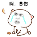 悲伤 流泪 伤心 难过 soogif soogif出品
