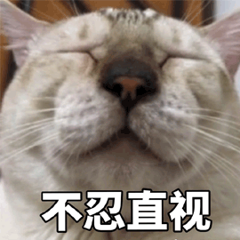 猫 不忍直视 拒绝