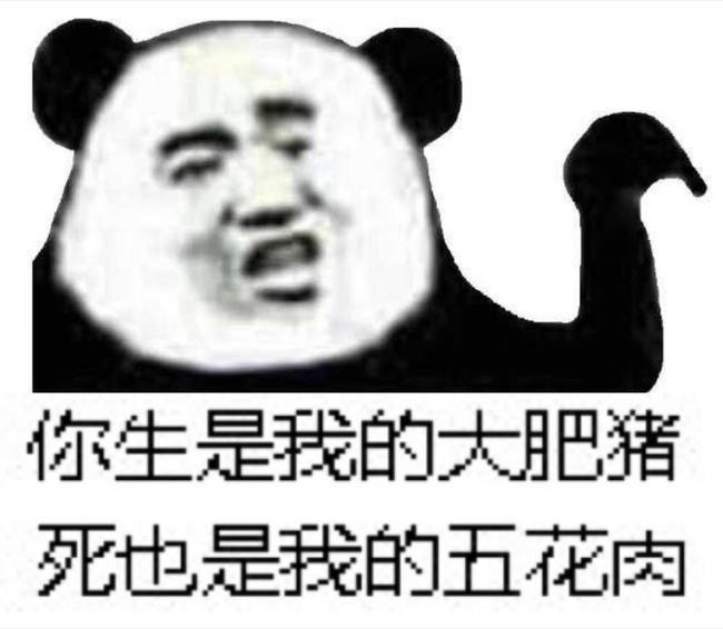 熊猫头 斗图 猥琐 搞笑 生是大肥猪 死是五花肉