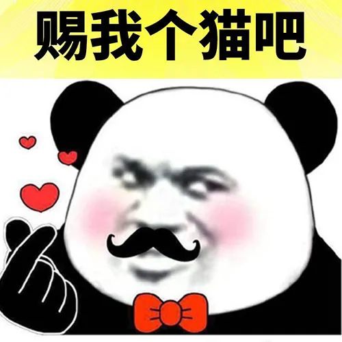 暴漫 熊猫头 赐我个猫吧 开心 搞怪 逗