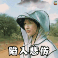 花儿与少年 江疏影 陷入悲伤 难过 伤心 悲伤 伤感 soogif soogif出品