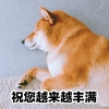 萌宠 汪星人 祝你幸福 祝你越来越好 淘气 调皮