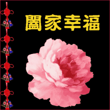 恭喜发财 中国结 祝福 花朵