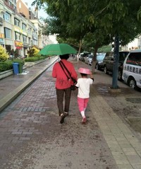 雨伞 背影 盆子 下雨