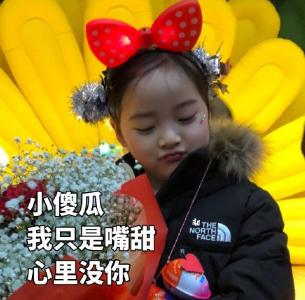 文字表情包 权律二 萌娃 可爱 搞笑