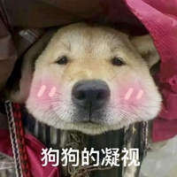 凝视