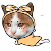 萌力喵撩 猫 卡通 等你