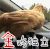 母鸡 方向盘 汽车 绿树 金鸡独立