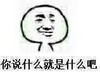 金馆长 斗图 群聊 你说什么就是什么吧