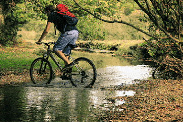 男子 骑车 水流 树林