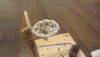 老鼠 训练 篮球 厉害