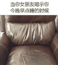 汪星人 等待 沙发 泰迪