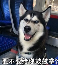 哈士奇 搞笑 二哈 魔性 文字表情包