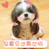 没看见过美女吗 表情 表情包