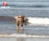 我们的法则 海滩 海浪 帅哥