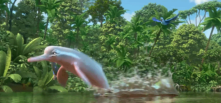 动物 森林 河流 海豚 电影 跳跃 里约大冒险2