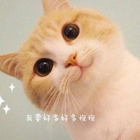 猫咪 微笑 可爱 我要好多好多抱抱