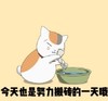 猫咪 可爱 文字表情包 逗 夏目友人帐