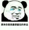 暴漫 熊猫头 原来你是我最想留住的幸运 开心 搞怪 逗