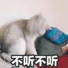 萌宠 喵星人 不听 不听 搞怪 可爱