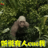 狂暴巨兽 大猩猩 听说有人cue我 soogif soogif出品