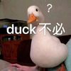 萌宠 小鸭子 大可不必 搞怪 呆萌 可爱