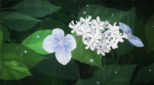 下雨 soogif soogif出品