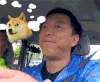 黄渤 开车 狗狗 恶搞