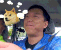 黄渤 开车 狗狗 恶搞