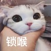 萌宠 喵星人 锁喉 掐你 可爱 呆萌