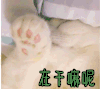 在干嘛 在干嘛呢 你在干嘛